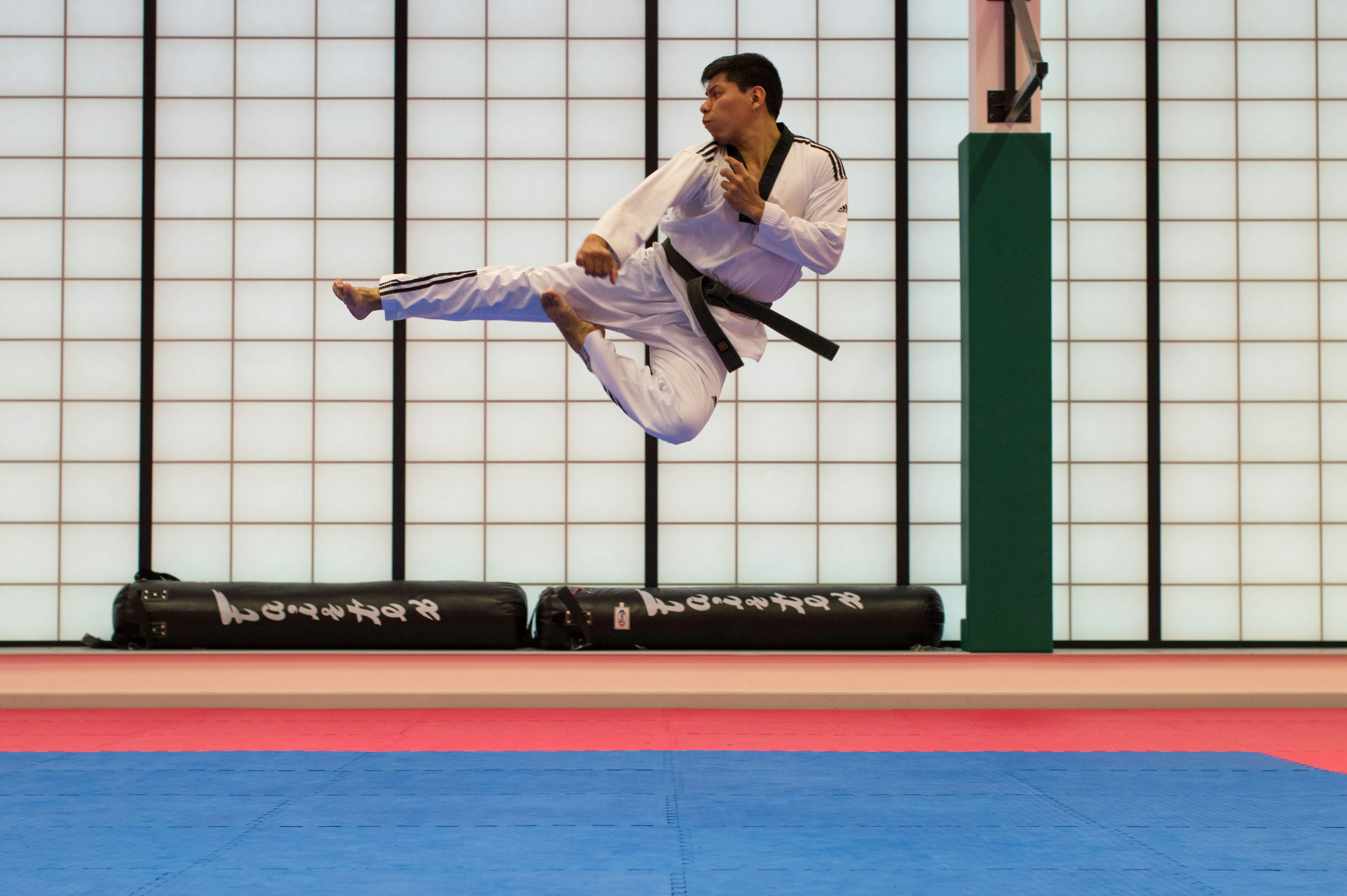 Bujinkan Budo Kihon