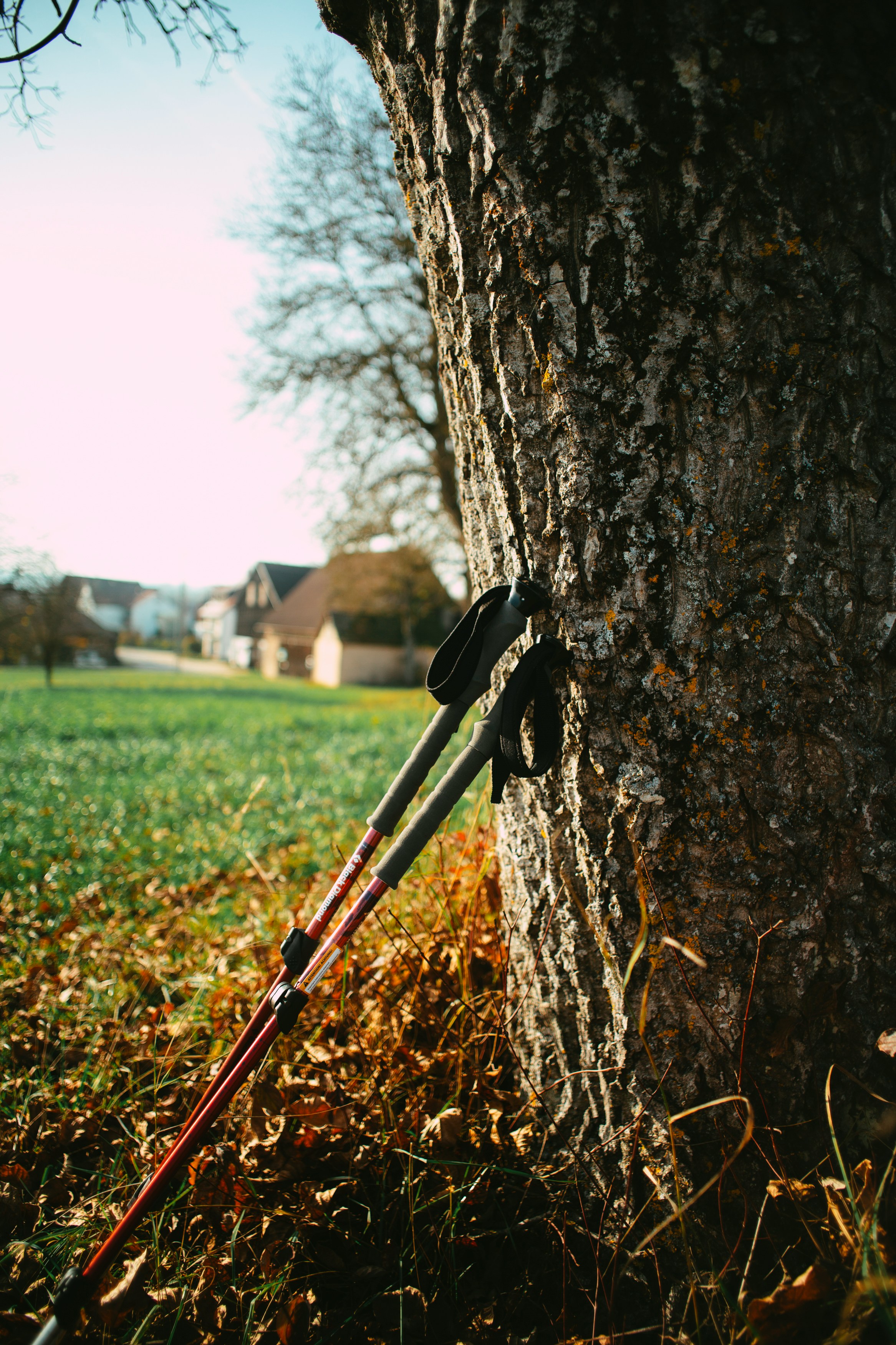 Nordic Walking - §20 Präventionskurs